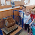 phoca_thumb_m_katnkovn 20 Fotogalerie